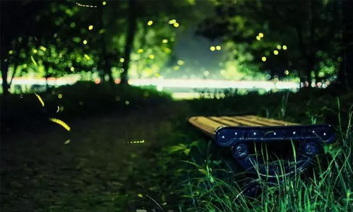 最后的同信府，最后的市中心庭院洋房