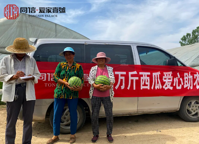 瓜甜心更甜|同信·愛(ài)家壹號(hào)采購(gòu)萬(wàn)斤西瓜愛(ài)心助農(nóng)在行動(dòng)！