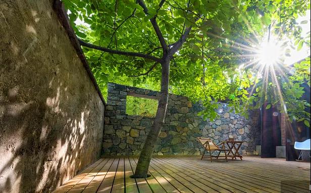 同信·愛(ài)家壹號(hào)|曾經(jīng)江湖策馬，如今院里觀花！